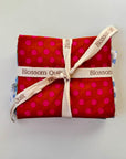 Kaffe Fassett - bundle nr. 3