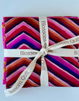 Kaffe Fassett - bundle nr. 11
