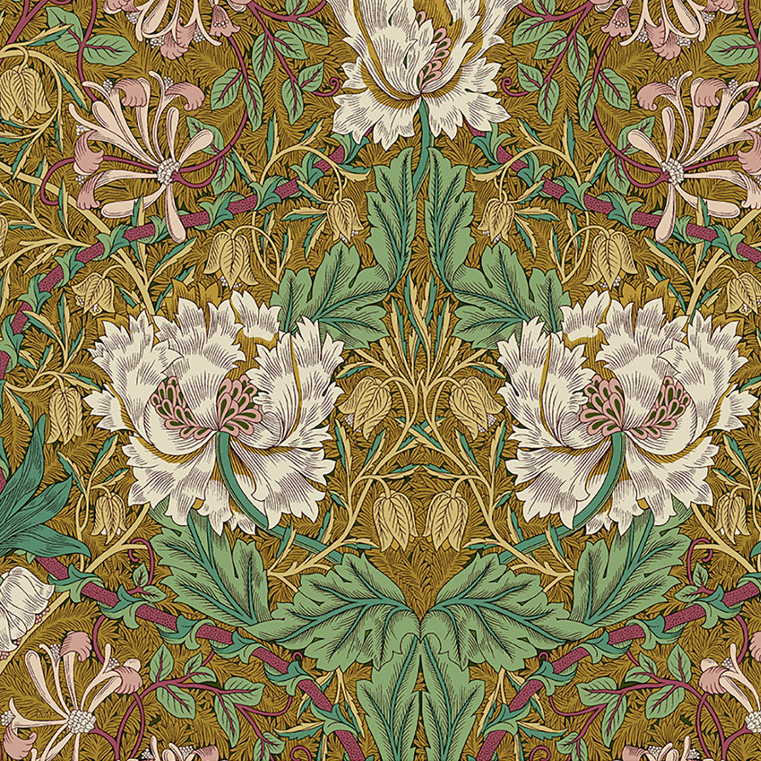 Morris Lodden - Honey Suckle &amp; Tulip - Gold