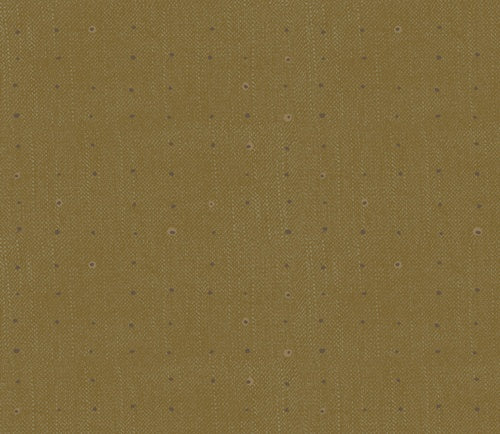 AGF - Seedling SDL-20113 Olive