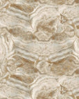 Stonehenge - medium beige/brun - 25047-12